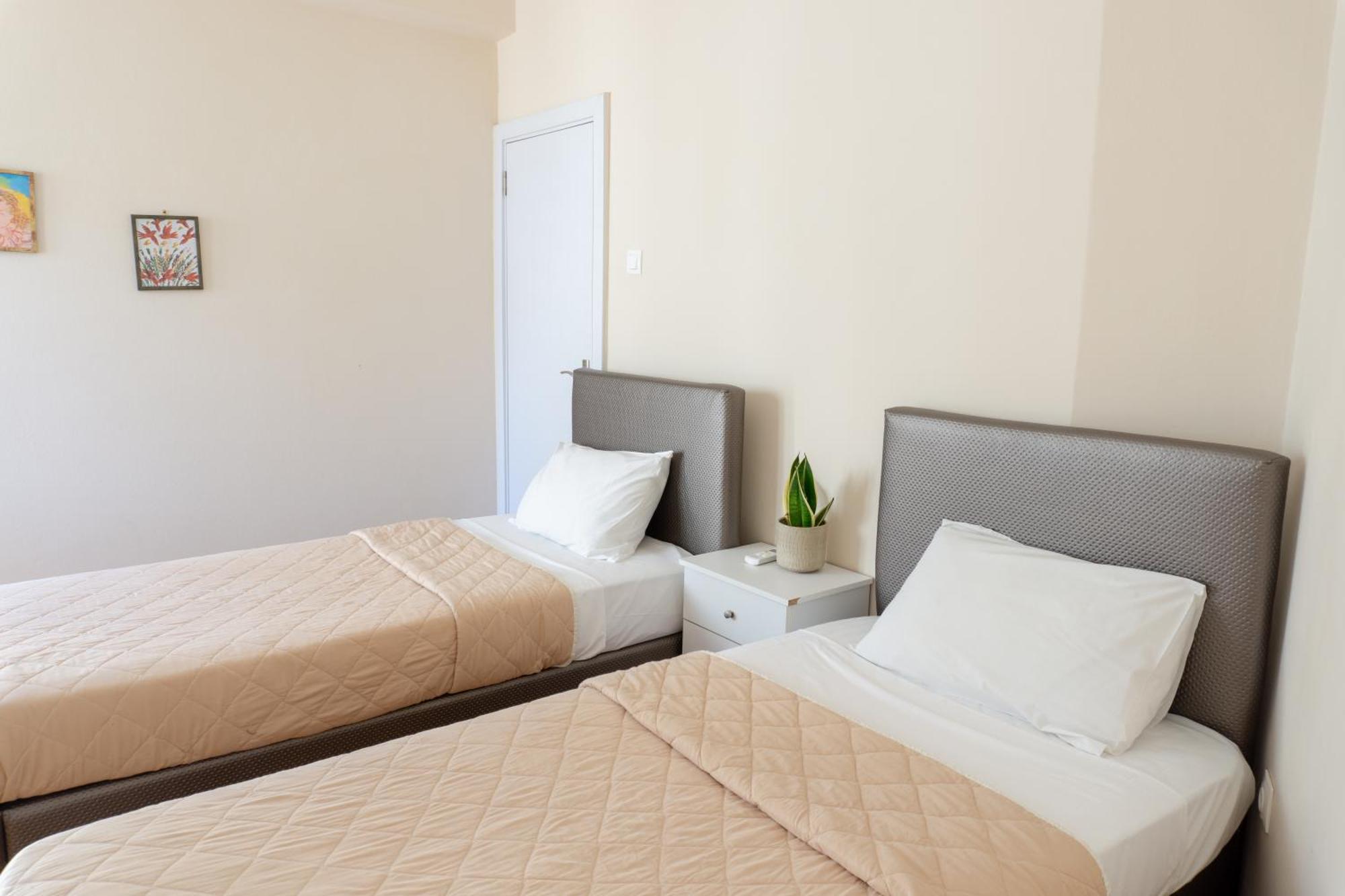 Cozy Apartment In Pangrati Area! Αθήνα Εξωτερικό φωτογραφία